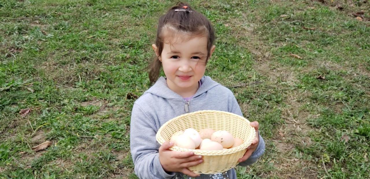 Life On The Farm Ξενοδοχείο Nepravishte Εξωτερικό φωτογραφία