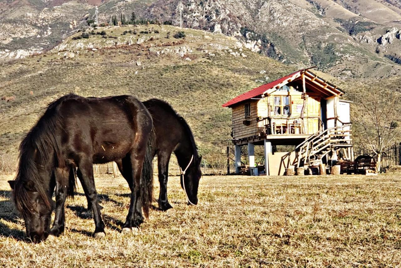 Life On The Farm Ξενοδοχείο Nepravishte Εξωτερικό φωτογραφία