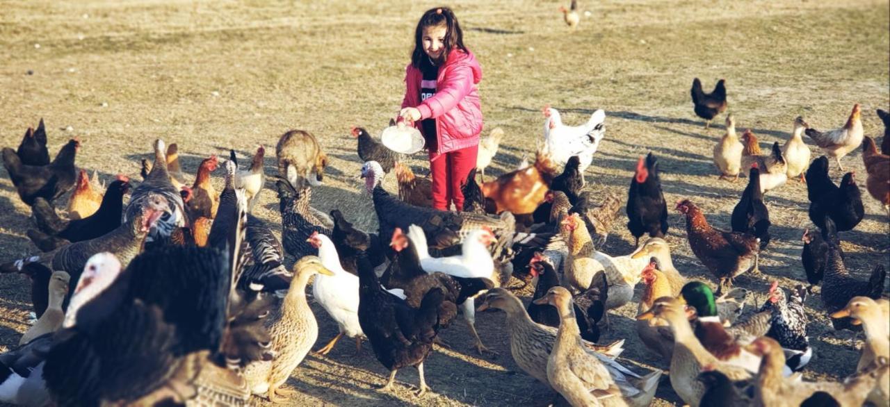 Life On The Farm Ξενοδοχείο Nepravishte Εξωτερικό φωτογραφία