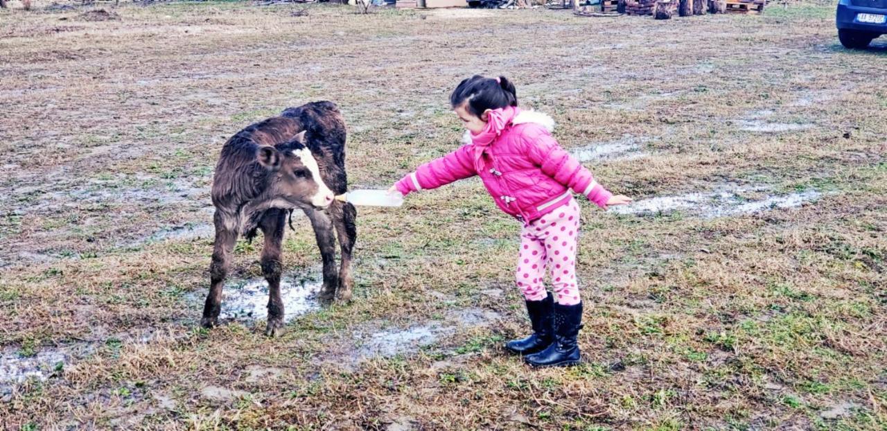 Life On The Farm Ξενοδοχείο Nepravishte Εξωτερικό φωτογραφία