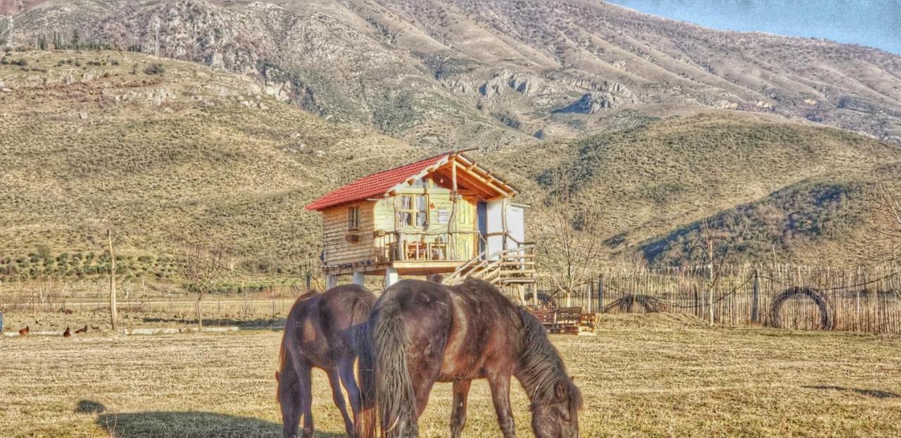 Life On The Farm Ξενοδοχείο Nepravishte Εξωτερικό φωτογραφία