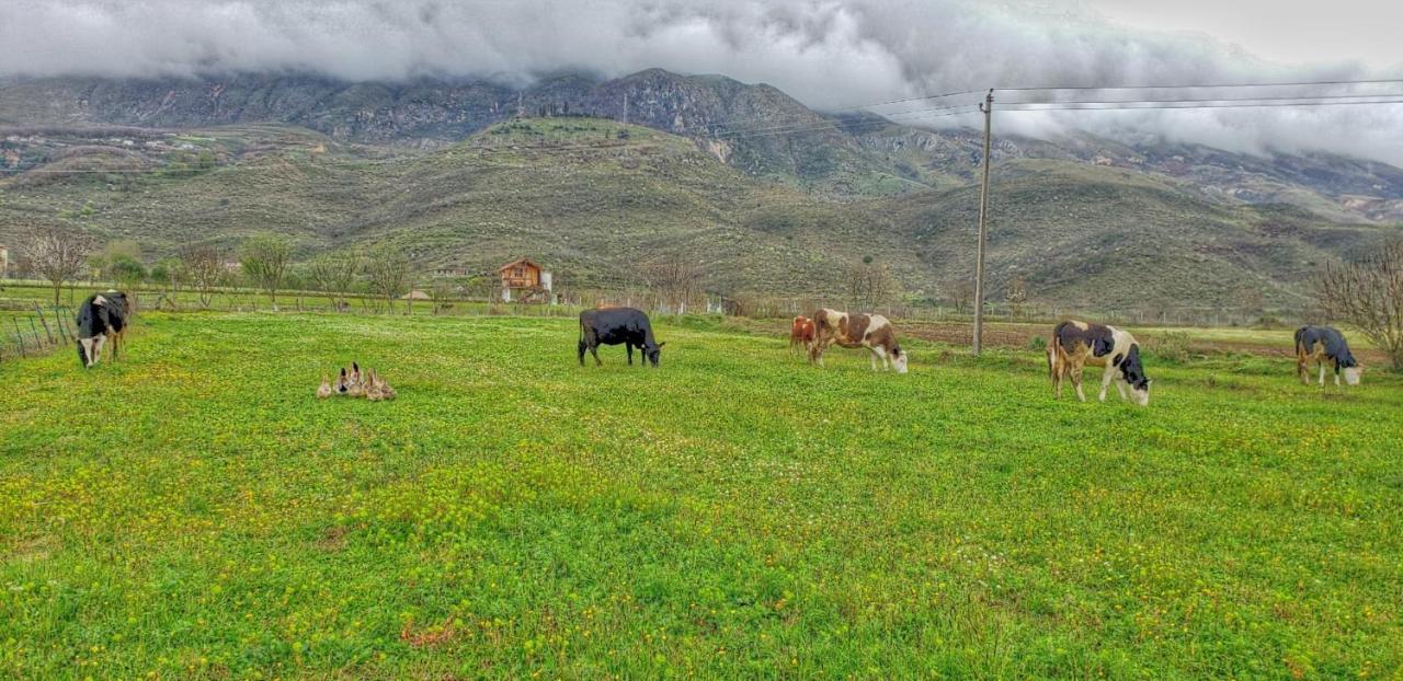 Life On The Farm Ξενοδοχείο Nepravishte Εξωτερικό φωτογραφία