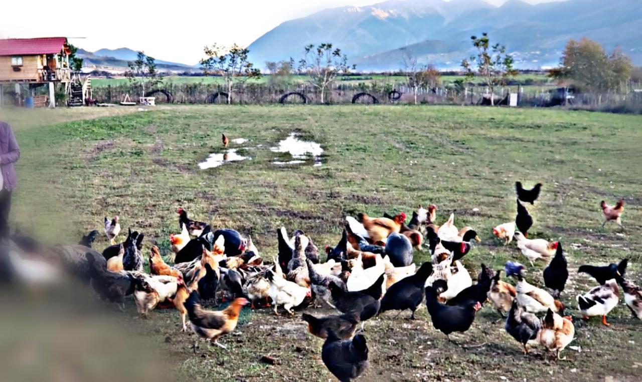 Life On The Farm Ξενοδοχείο Nepravishte Εξωτερικό φωτογραφία